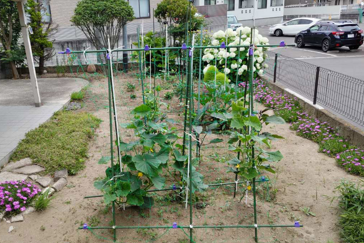 デイサービスゆめふる中野栄サテライト